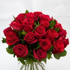 Agrupado de Rosas Vermelhas (12 Rosas)